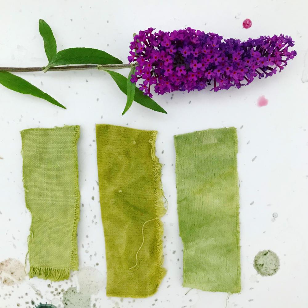 Volwassenen workshop: botanische inkt en verf maken