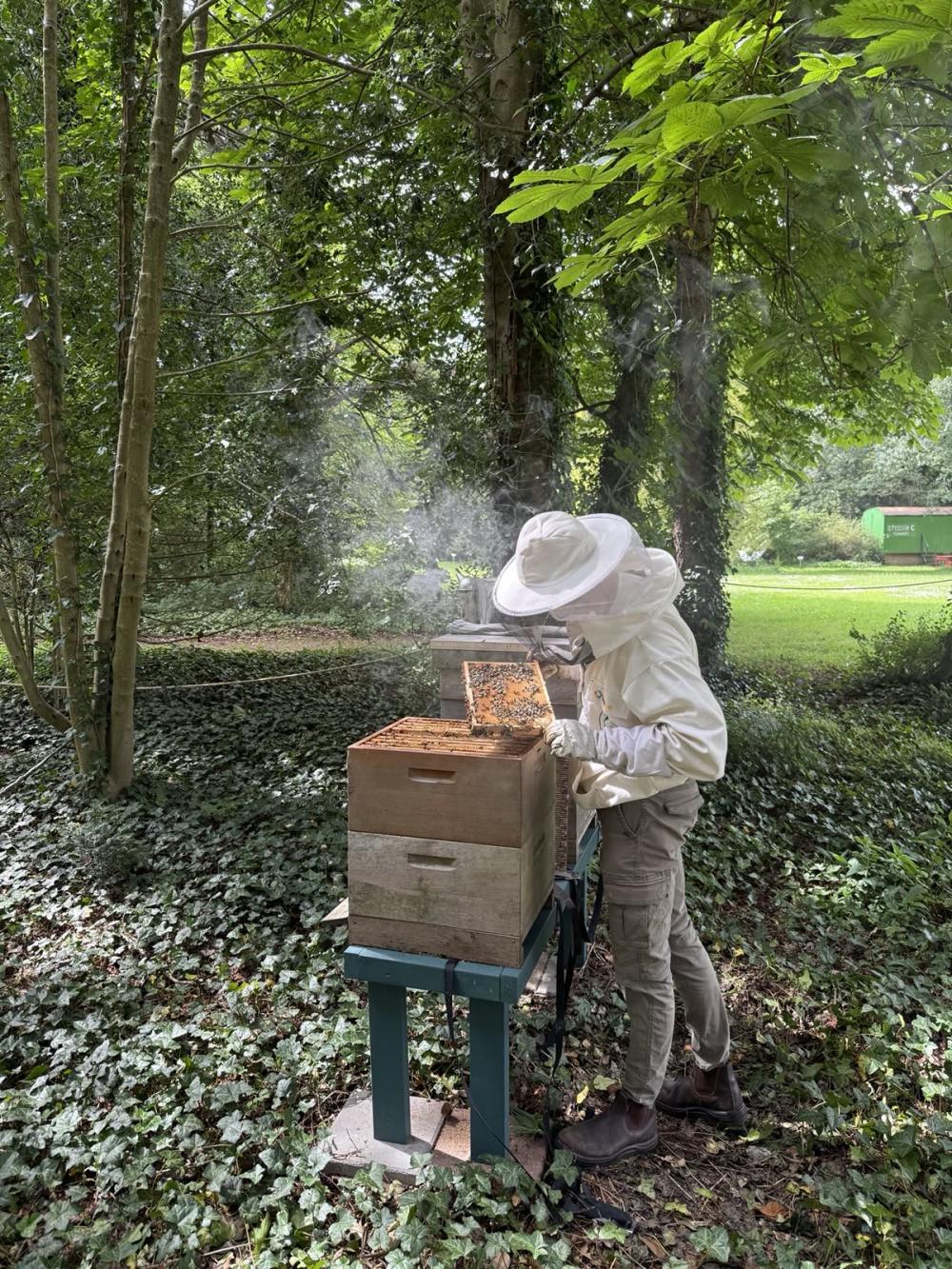 Rondleiding imkerdag (volwassenen)